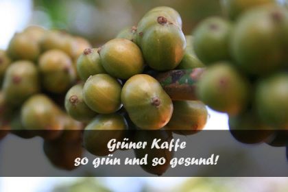 Grüner Kaffee 1