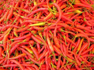 chilli-pepper-449_1280